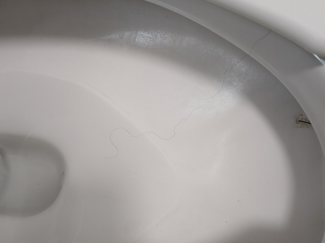 Microtel Inn & Suites by Wyndham Kingsland Naval Base I-95主图