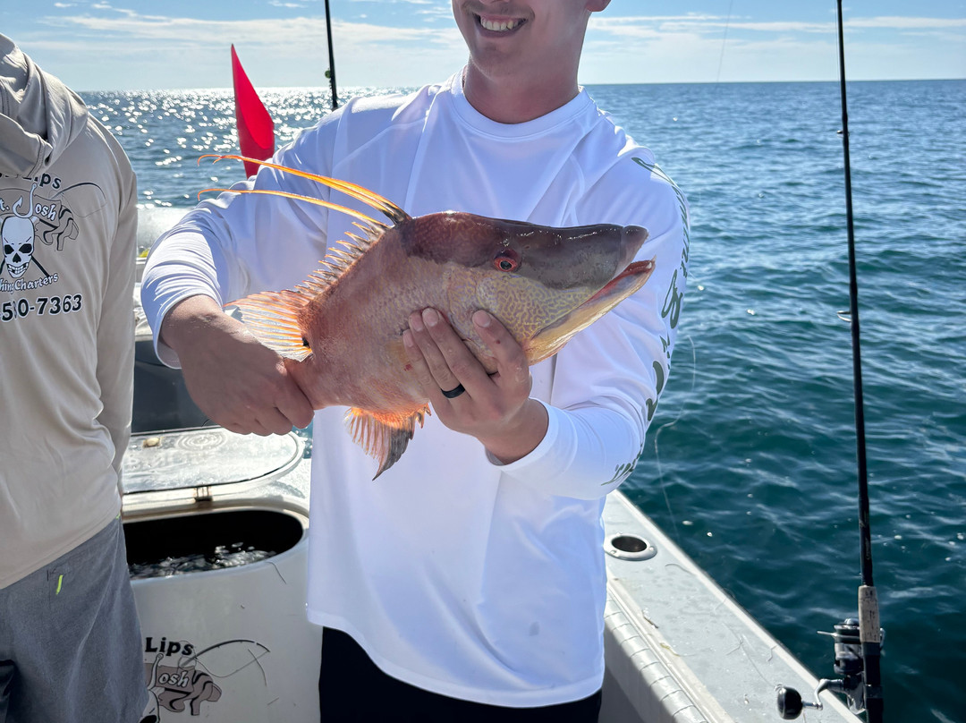 RippinLips, LLC-Holmes Beach必去景点