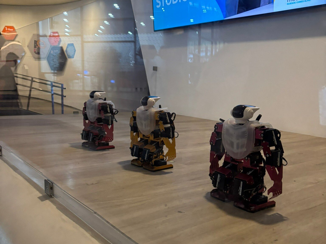 达义心灵博物馆-塔吉格必去景点