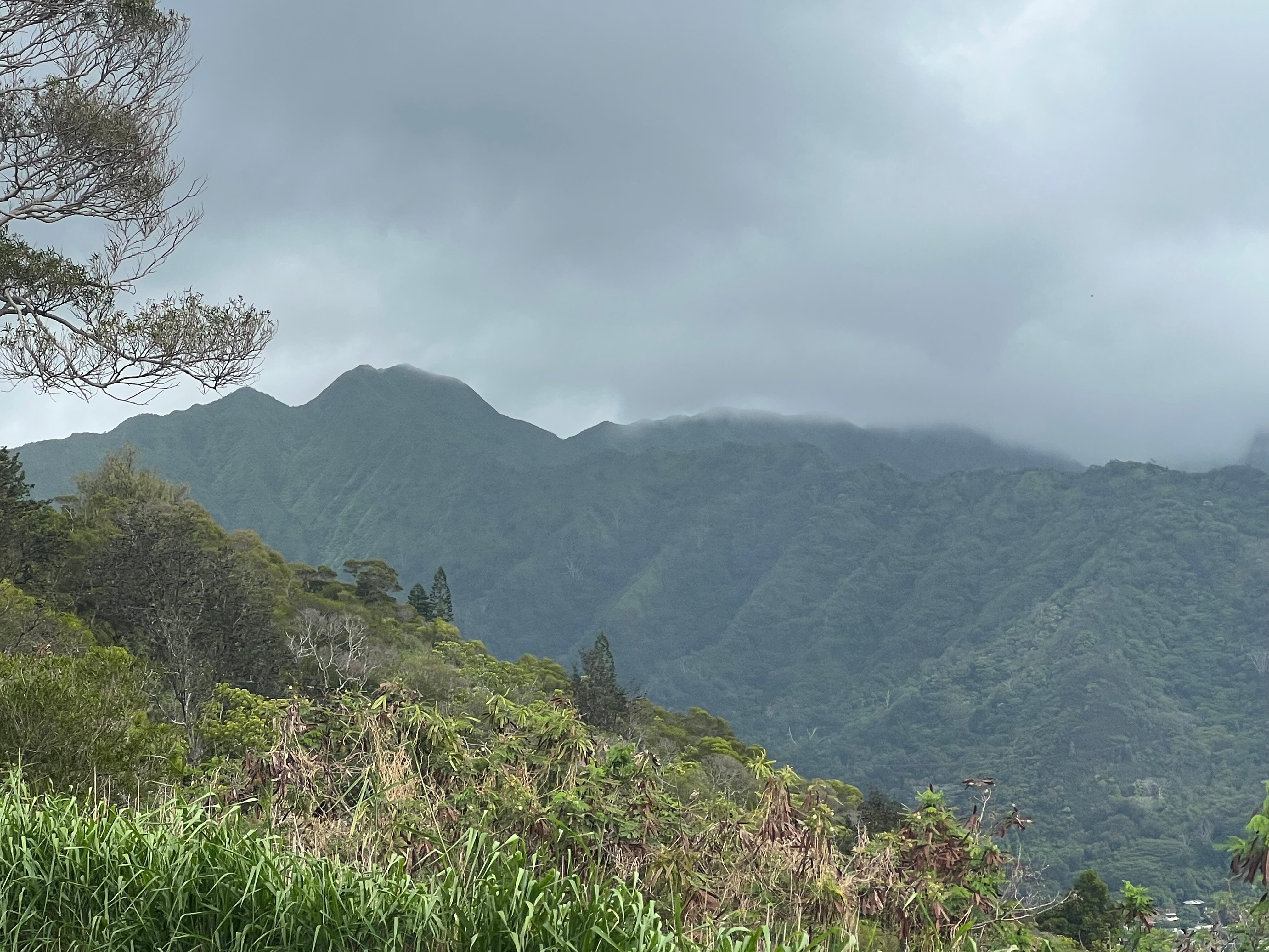 威基基万岁酒店-官方