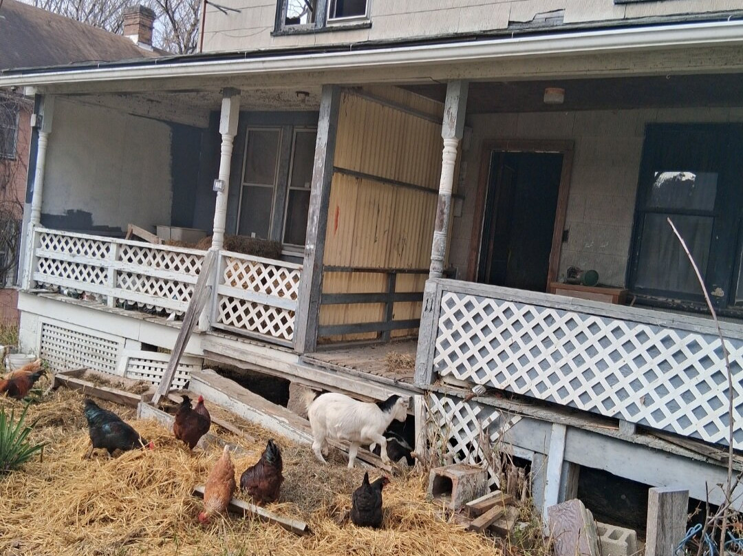 Yellow Dog Village-Worthington必去景点