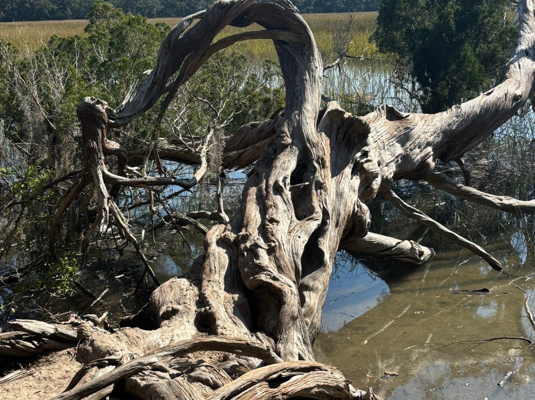 Wormsloe Historic Site-萨凡纳必去景点