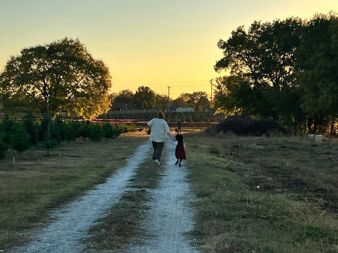 Owasso Christmas Tree And Berry Farm-奥瓦索必去景点