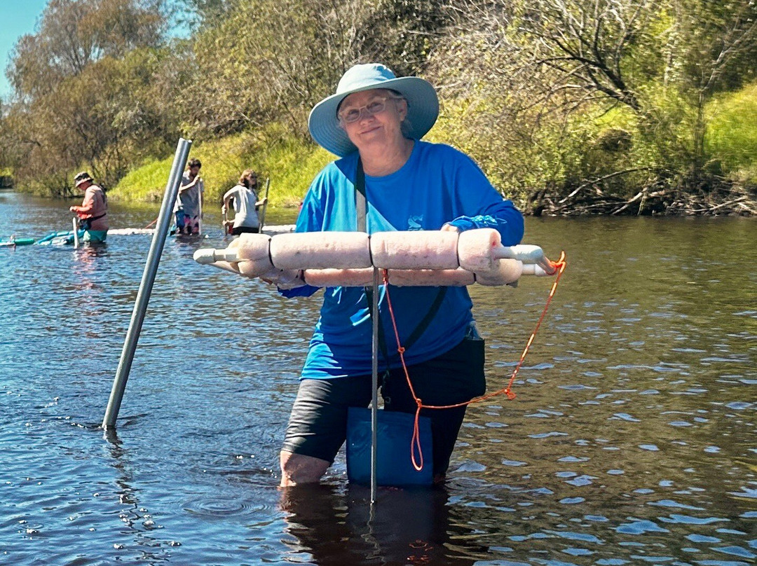 Fossil Junkies, Llc-Alva必去景点