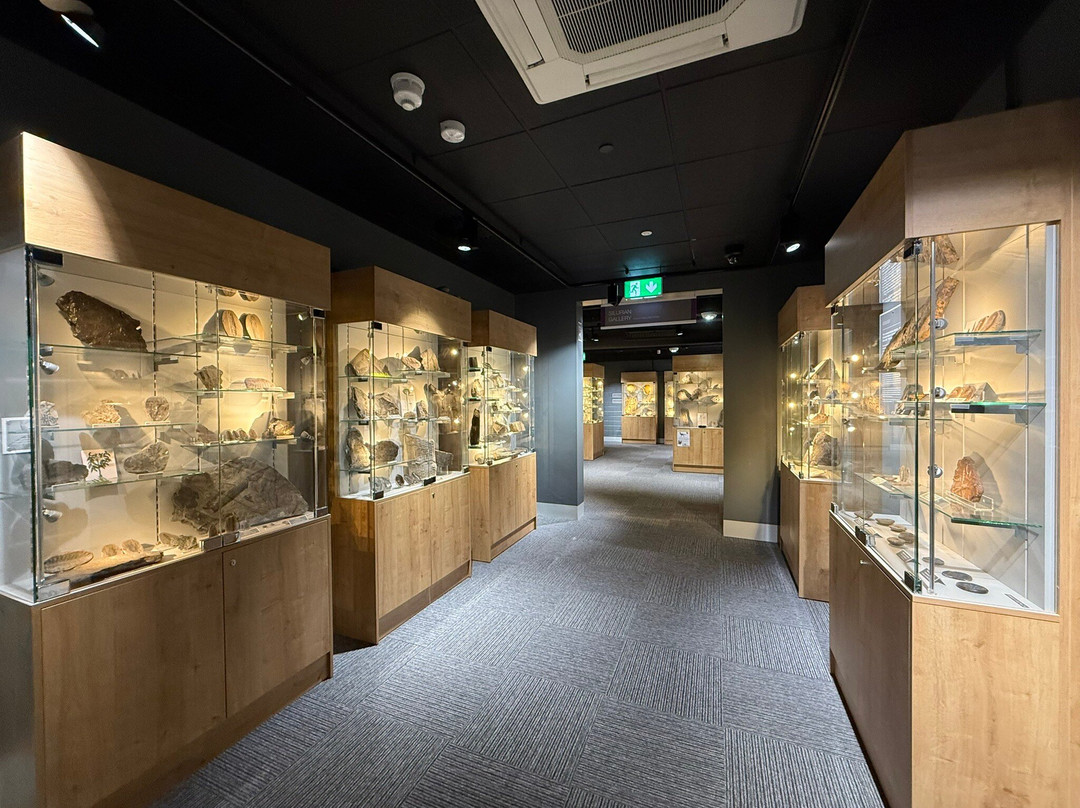 Dudley Museum and Art Gallery-Dudley必去景点