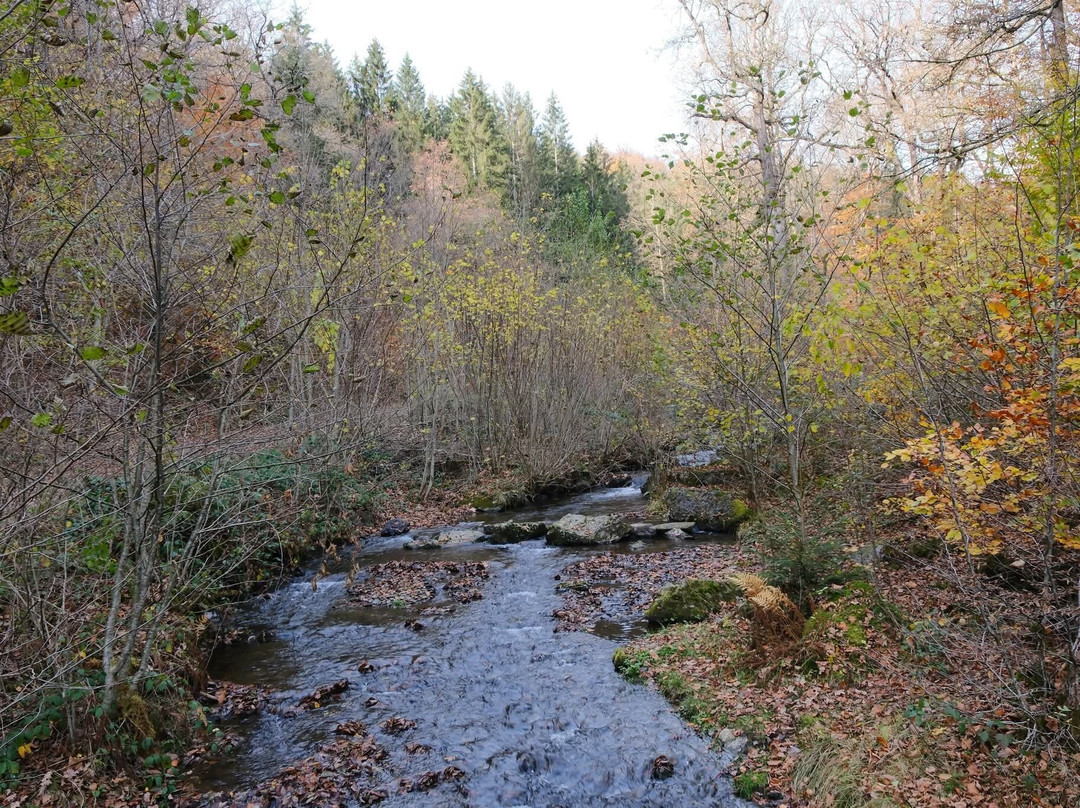 Reserve Naturelle de la Roche a l'Appel-Florenville必去景点