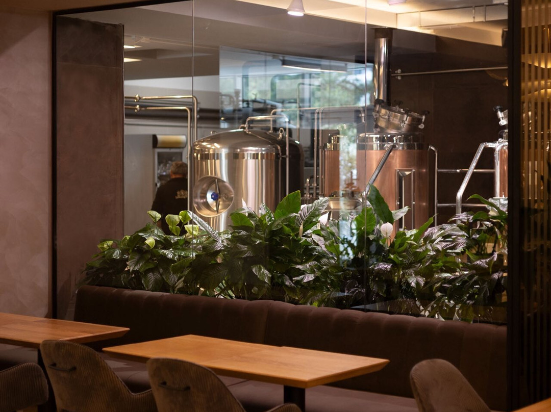 Lumen Craft Gastro (regiunea Aeroport)