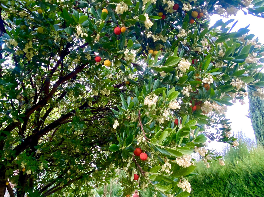 拉帕拉达德尔孔普特酒店主图