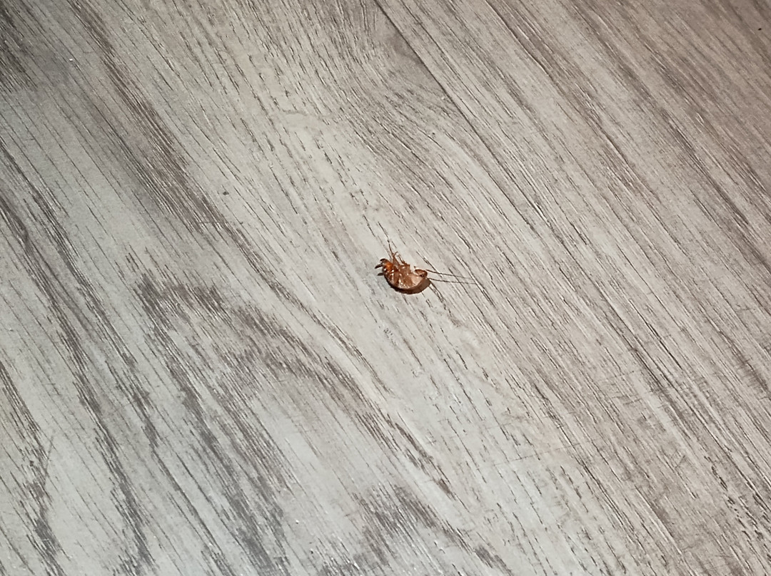 红岩汽车旅馆主图