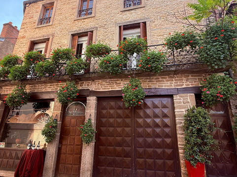 Safari Tours-博讷必去景点