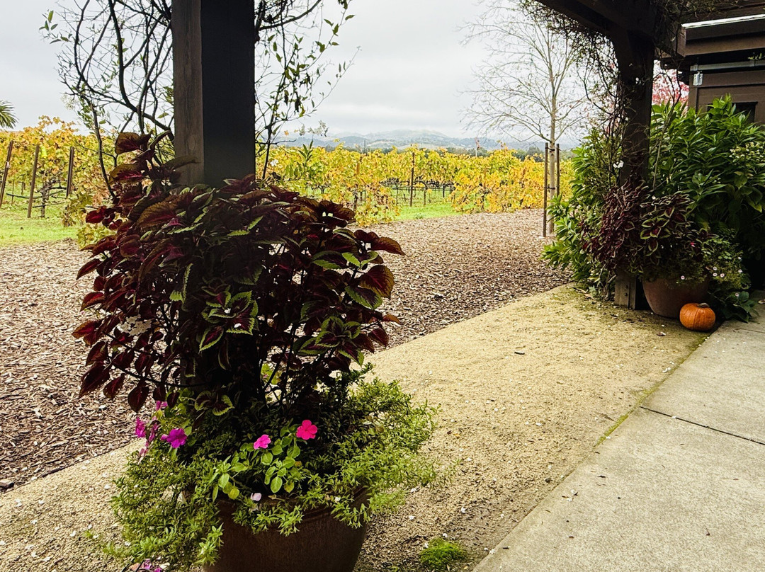 Robert Biale Vineyards-纳帕必去景点