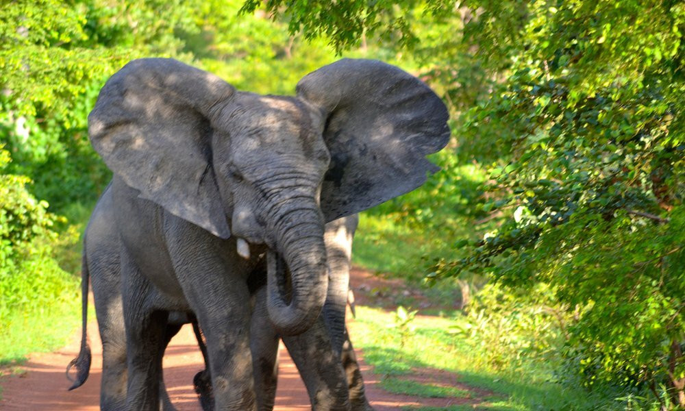 Larabanga Mosque-Larabanga必去景点