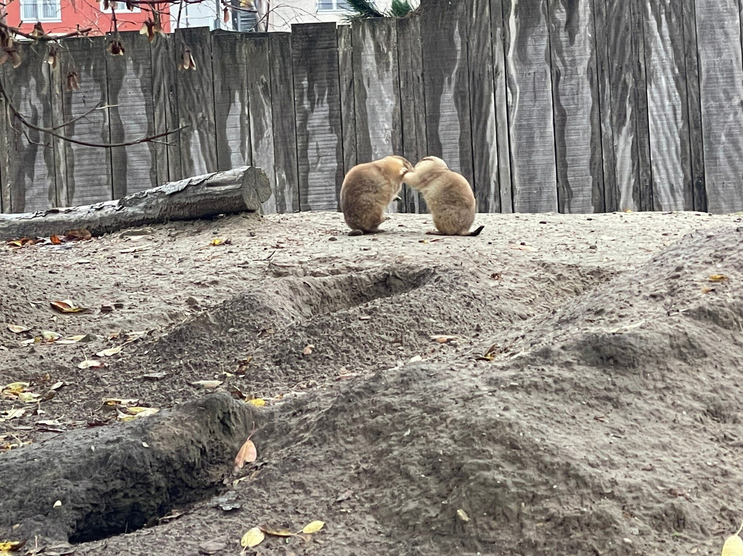 Wildlands Adventure Zoo Emmen-Emmen必去景点