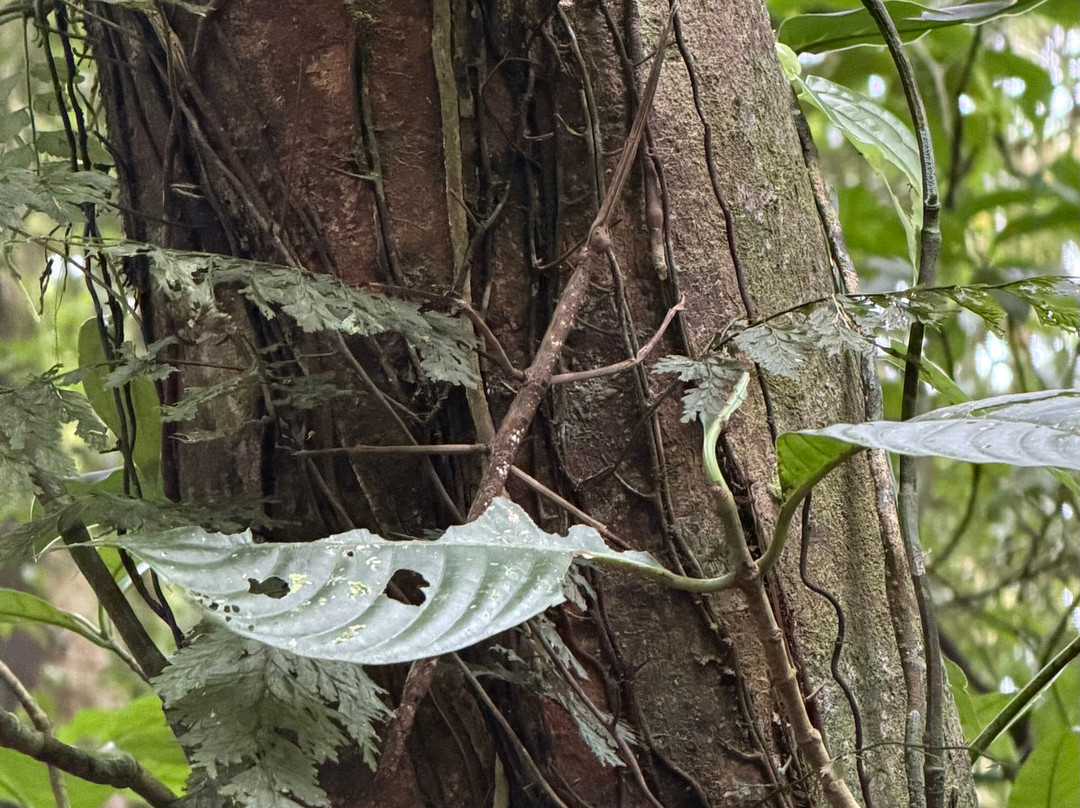 Woodpecker Educational Tours-Canas必去景点