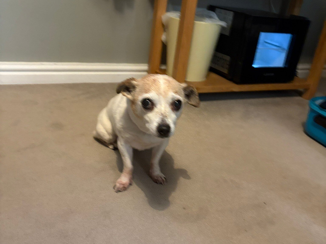 The Vines Bar Rooms主图