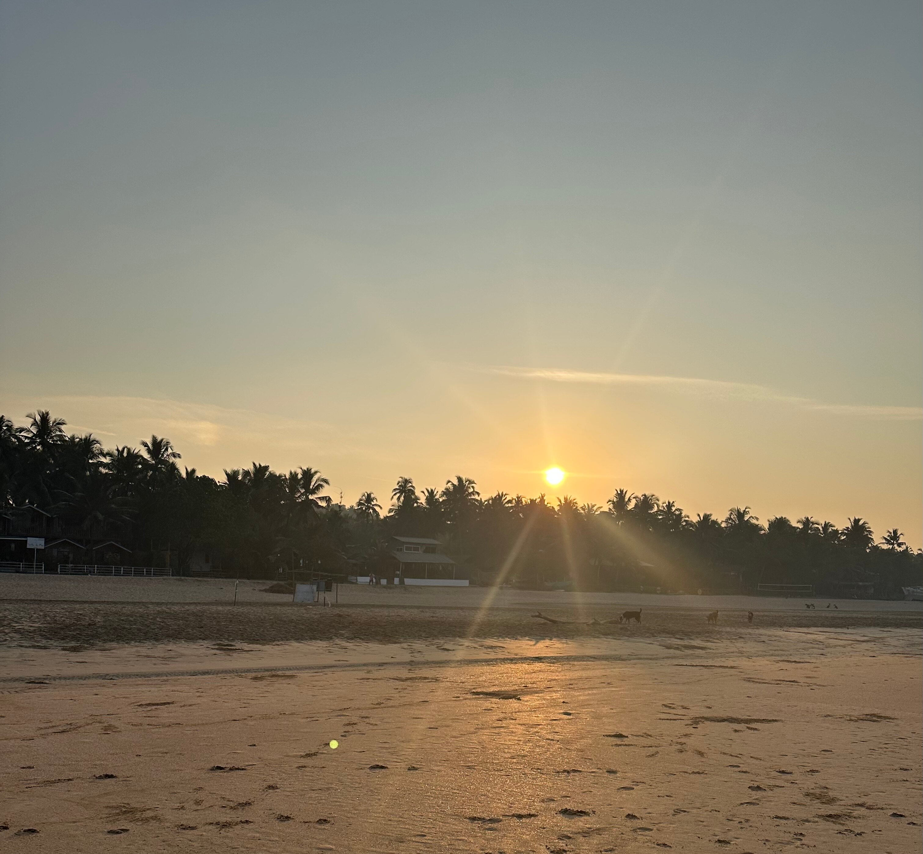 Om Sai Beach Resort-官方