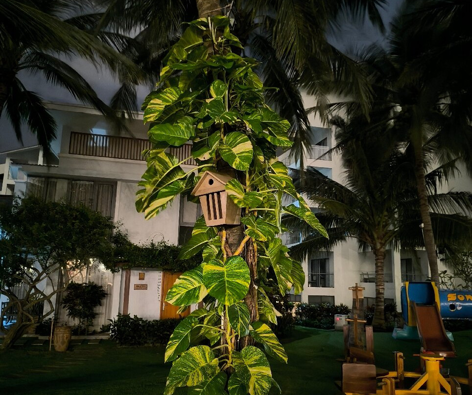 Sonata Resort & Spa主图