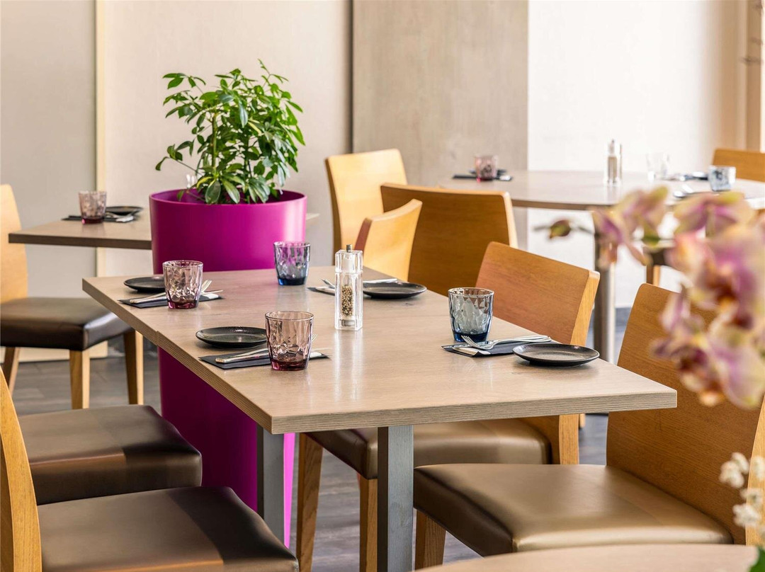 Illkirch-Graffenstaden酒店住宿-水星斯塔伯格南酒店