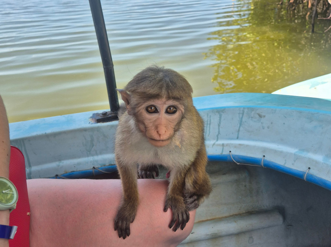 See Lanka Travels-Waikkal必去景点