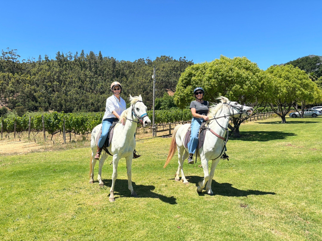 Equine Sport Centre-斯泰伦博斯必去景点