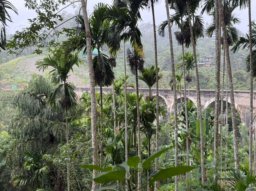 MYM Travels And Tours-班托塔必去景点