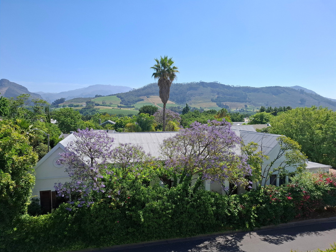 Franschhoek Boutique Hotel主图