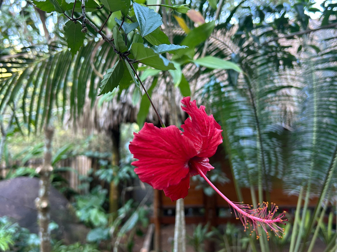 La Maison De Buoc主图