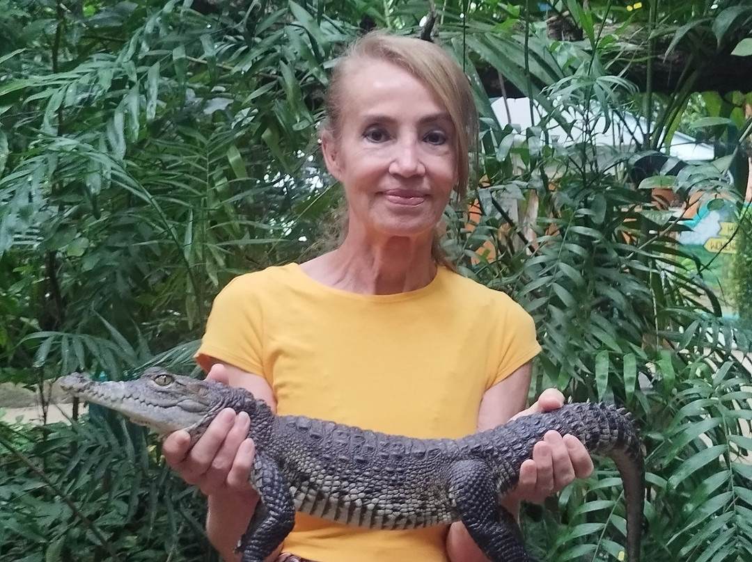 Croco Cun Zoo-从莫雷洛斯港必去景点