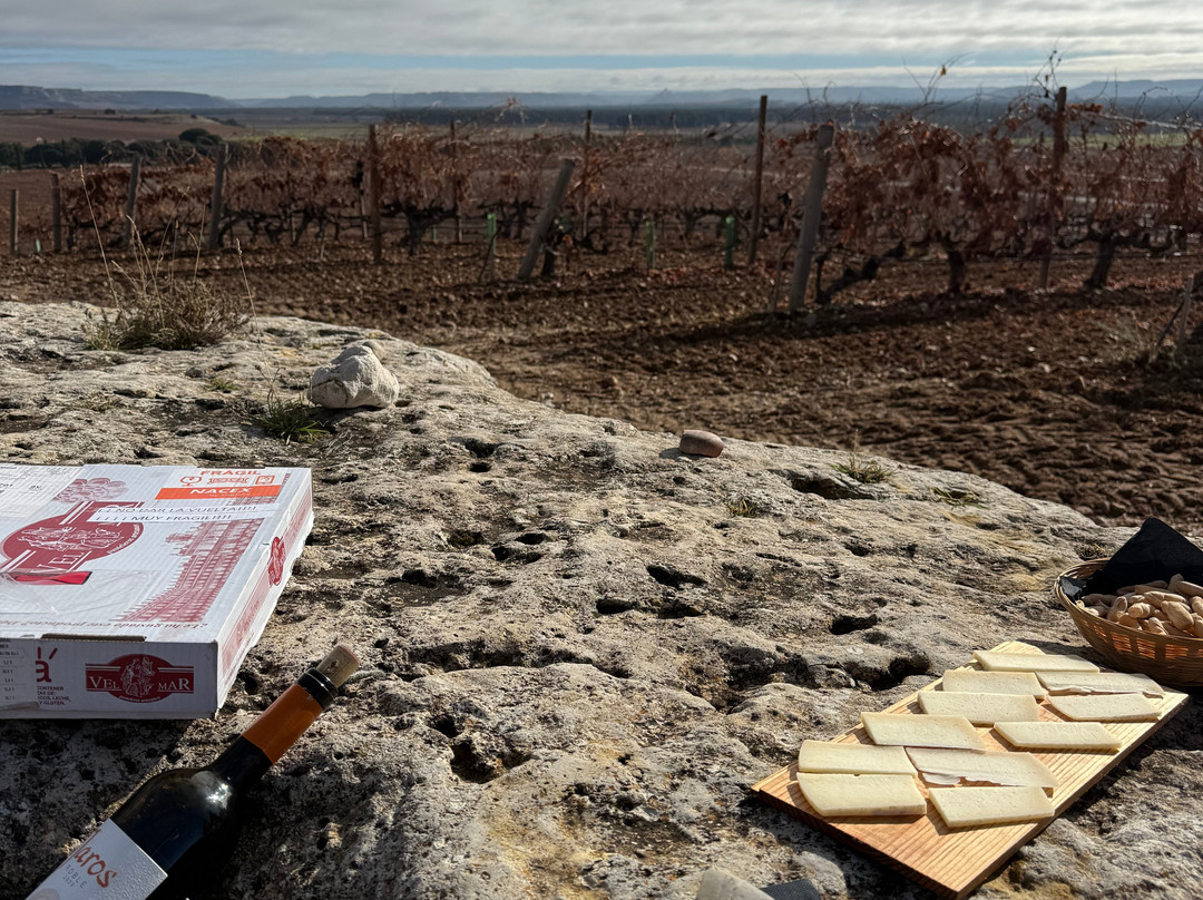 Viñas Del Jaro-Pesquera de Duero必去景点