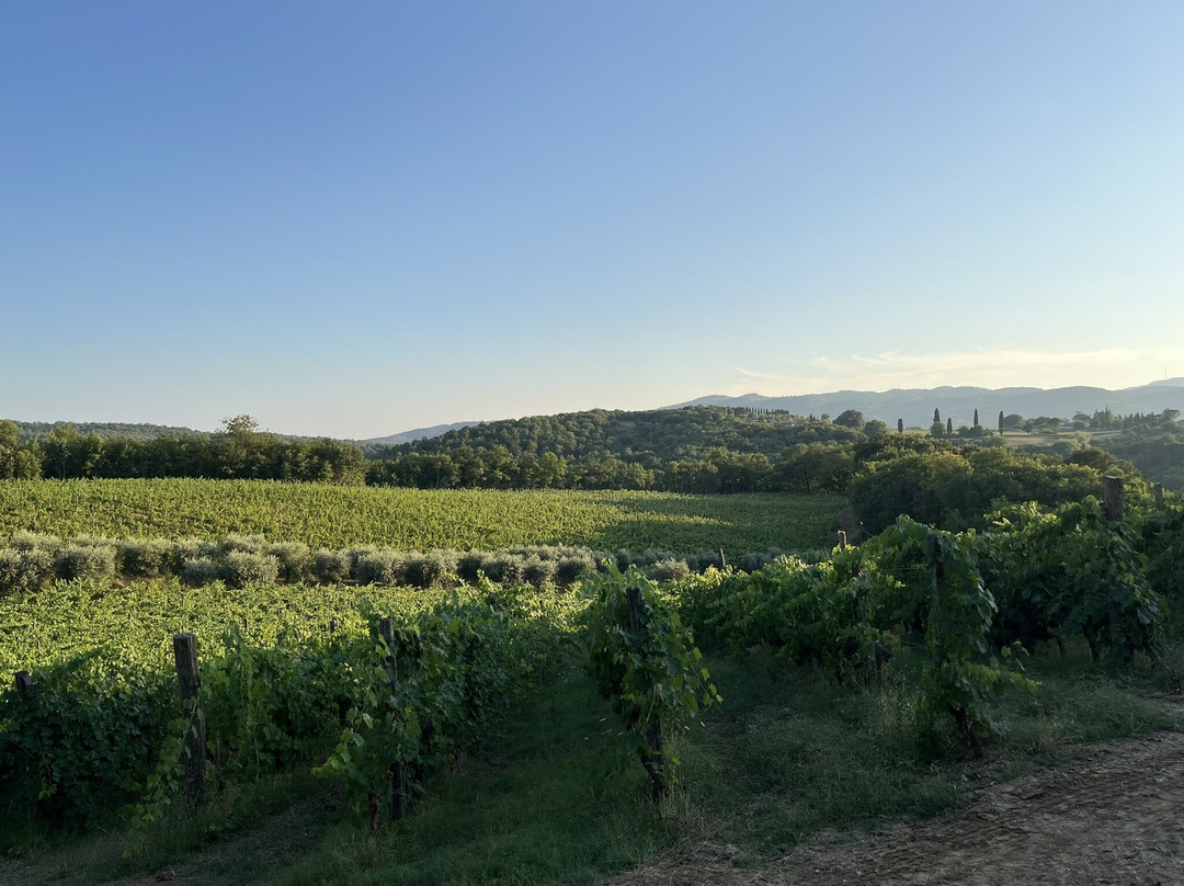 Poggio Molina-Bucine必去景点