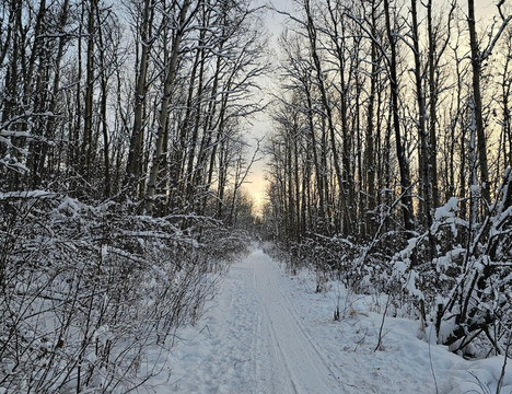 Howling Bay Kennel-费尔班克斯必去景点