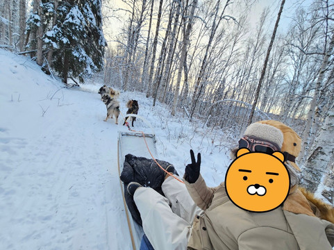 Howling Bay Kennel-费尔班克斯必去景点