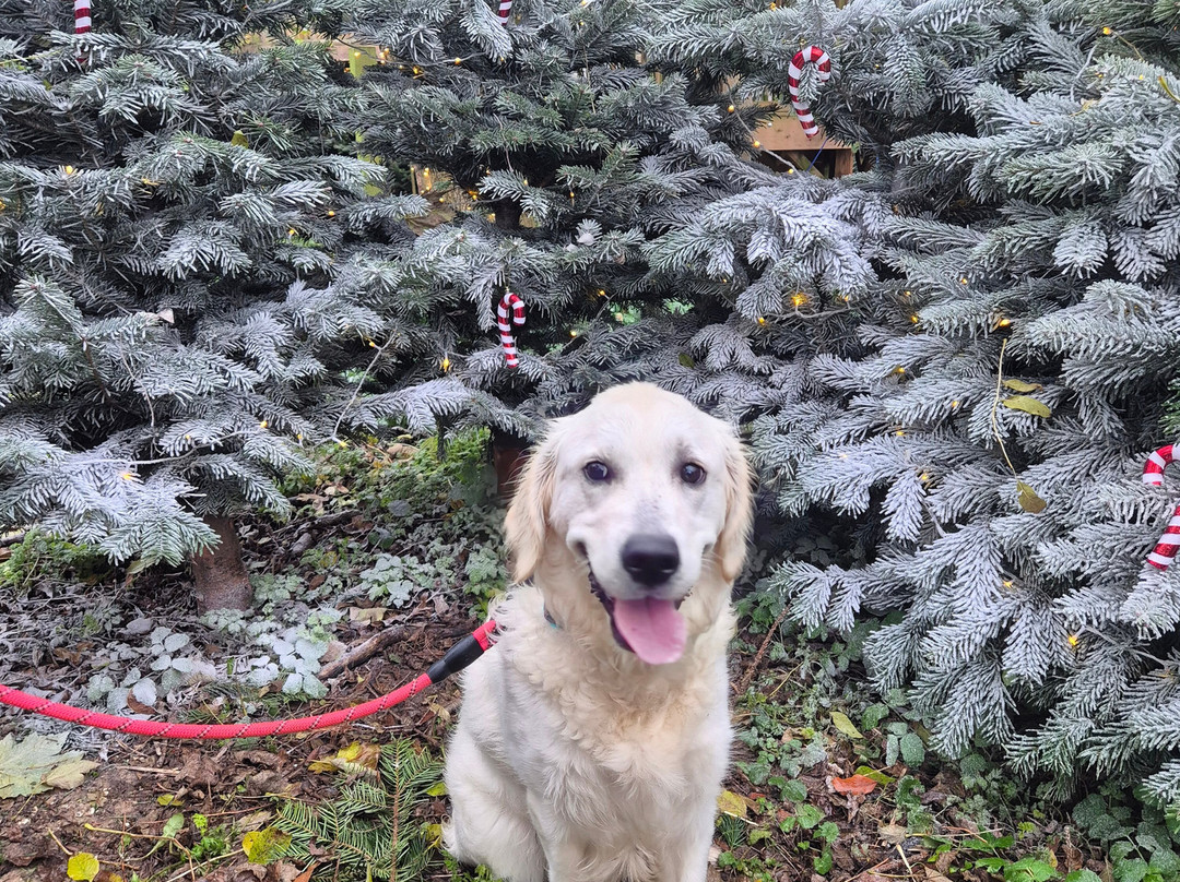 Quex Adventure Farm Park-Birchington必去景点