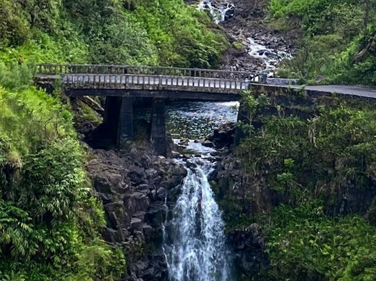 Roots Run Deep Tours