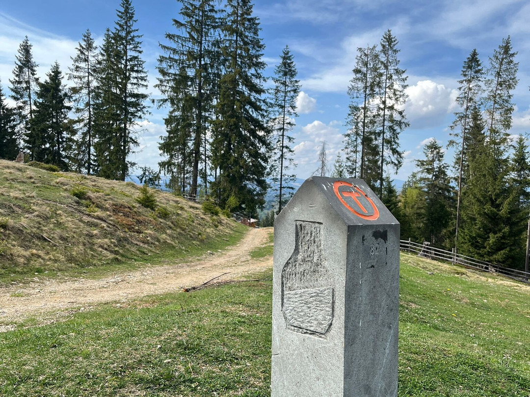 Via Transilvanica-Piatra Fantanele必去景点