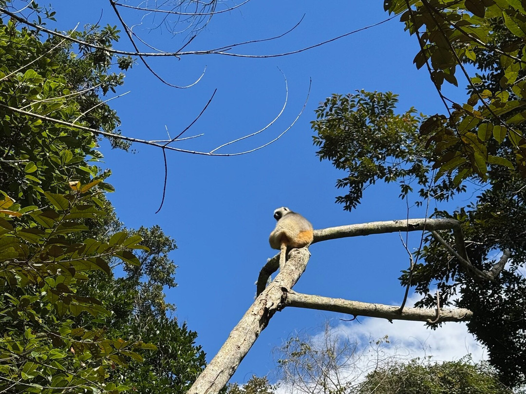 Viro Nomads Travel Co.-Ranomafana必去景点