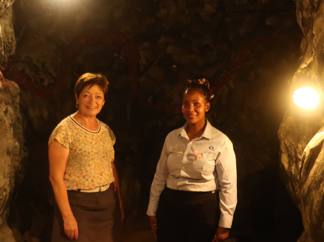 The Tanzanite Experience-阿鲁沙必去景点