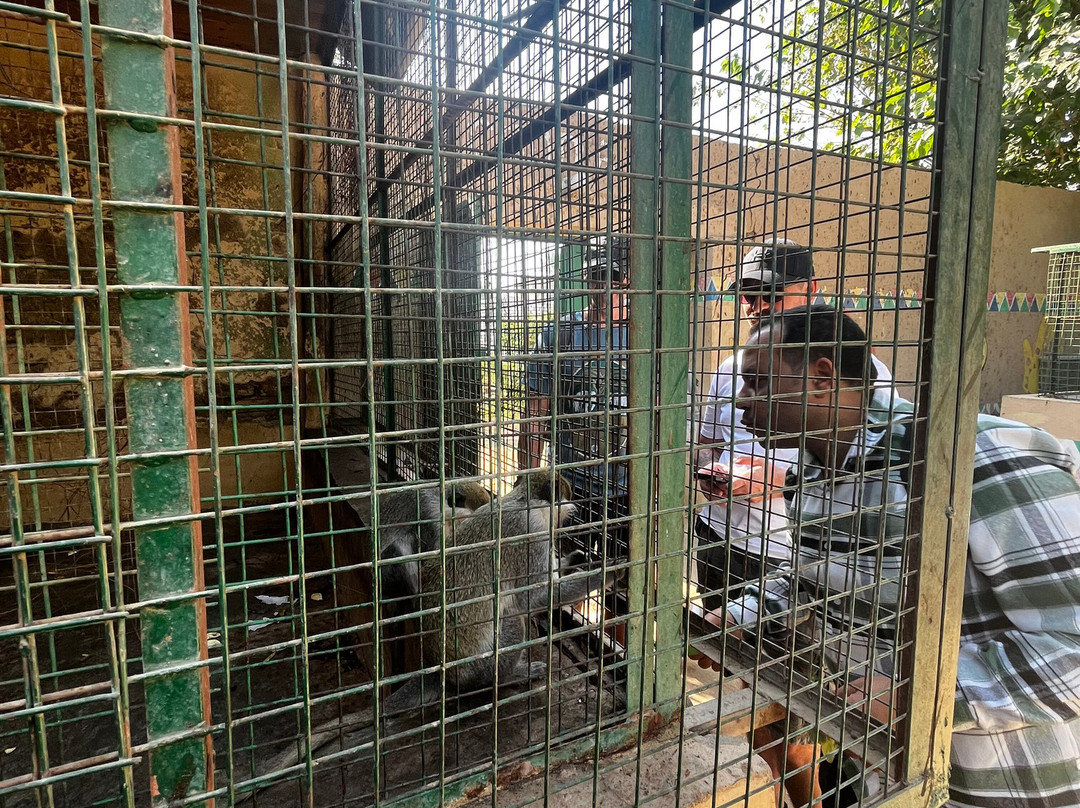 Egipt Izleti ( Mina Luka )-Hurghada 1必去景点