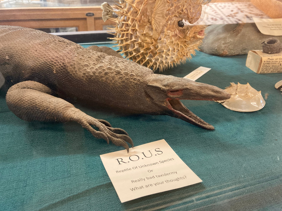 Frontier Times Museum-Bandera必去景点