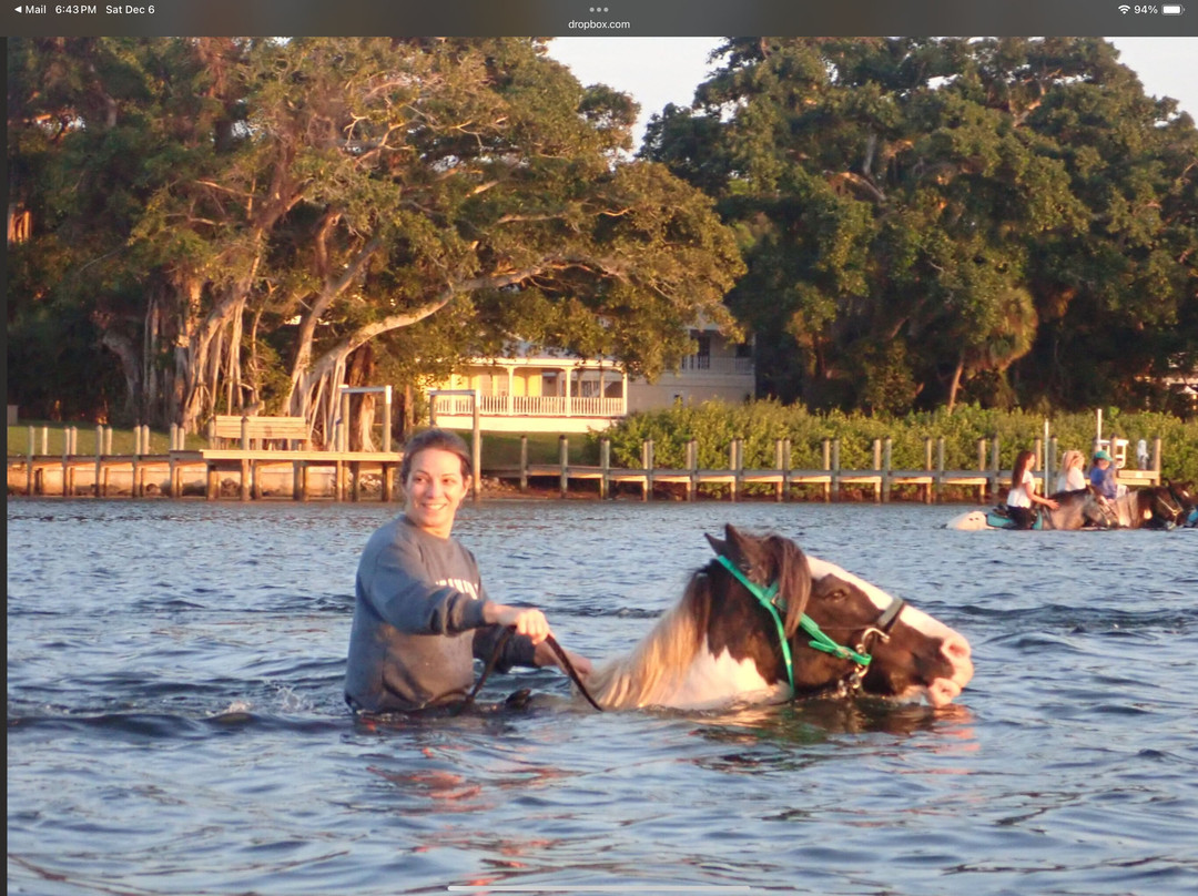 C Ponies Beach Horseback Rides-布雷登顿必去景点