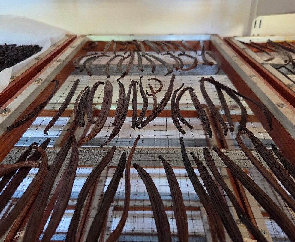 The Vanillerie-凯鲁瓦-柯纳必去景点