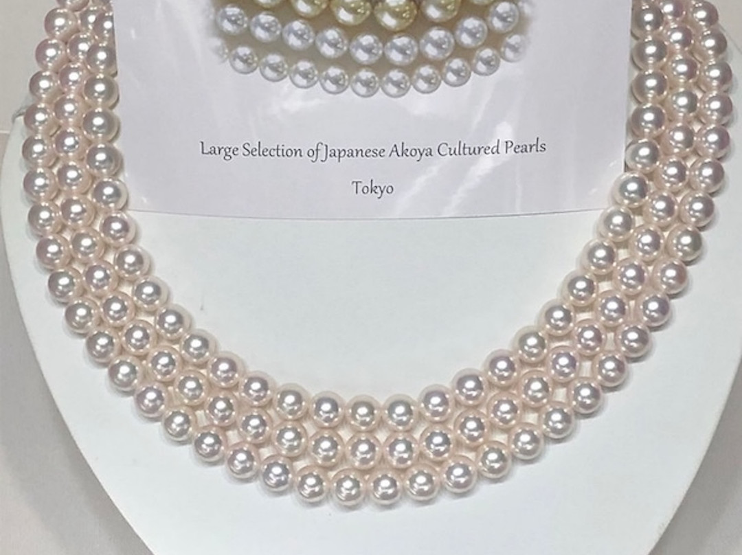 Canilli Pearl-Meguro必去景点