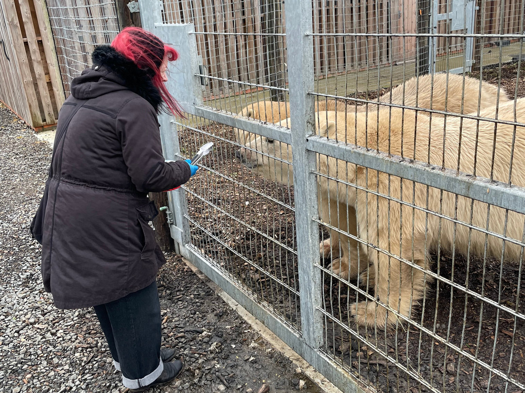 Jimmy's Farm & Wildlife Park-伊普斯威奇必去景点