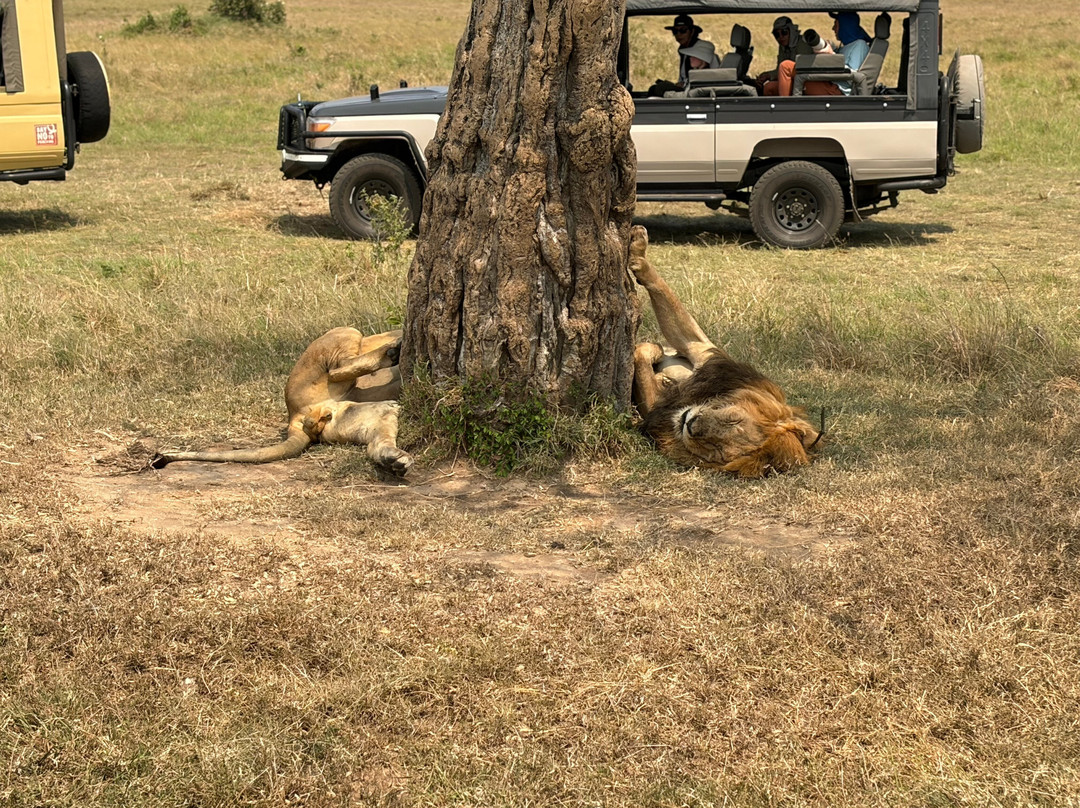 Oluokos Signature-基苏木必去景点