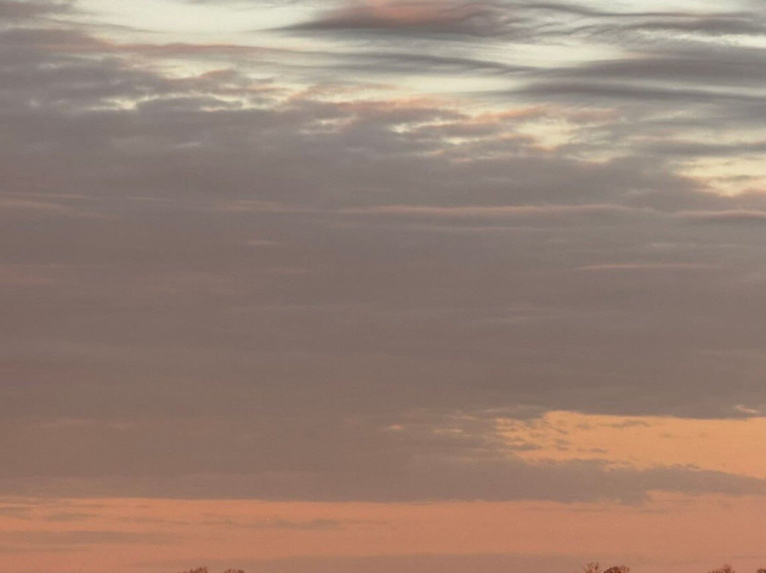 Lake Chicot State Park-Lake Village必去景点