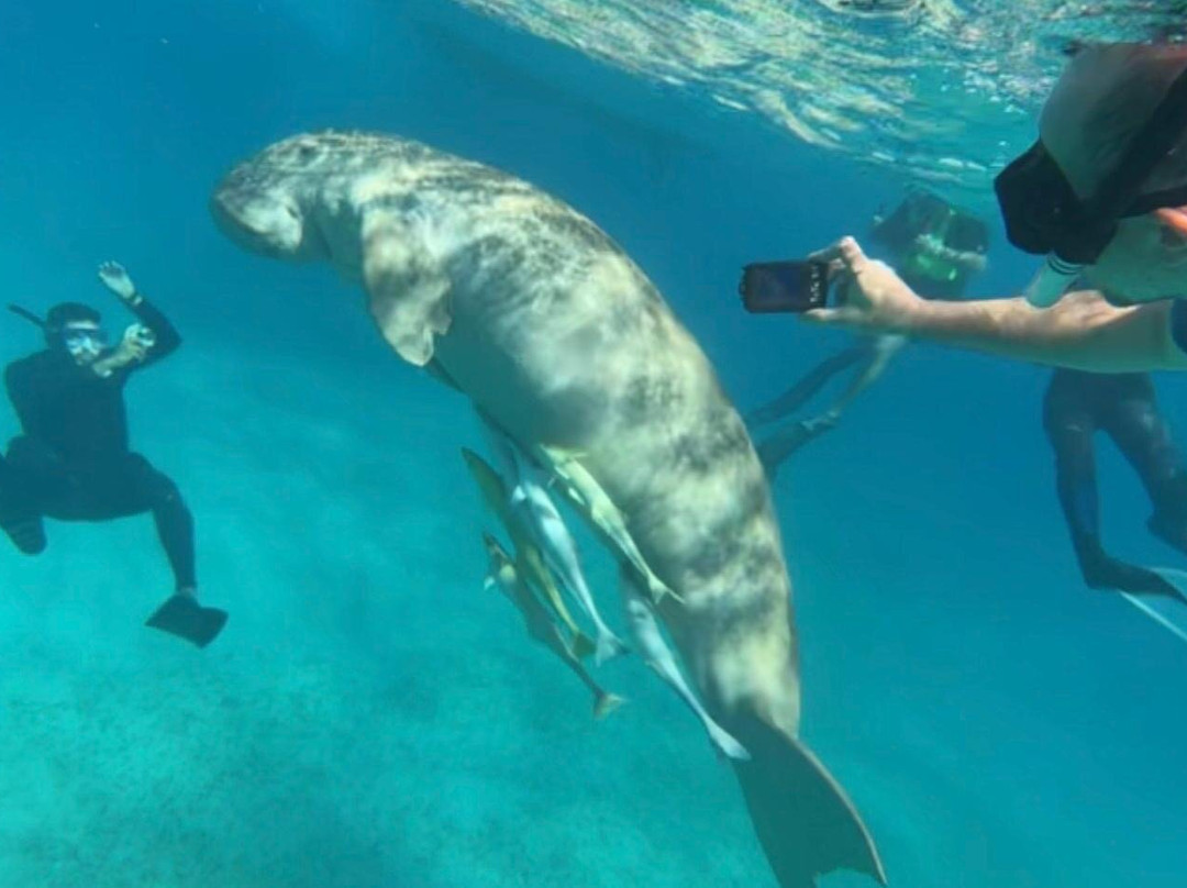 Grace Travel-马萨阿拉姆必去景点