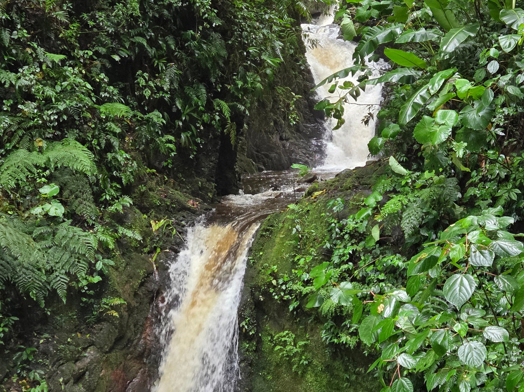 My Costa Rica-圣何塞必去景点