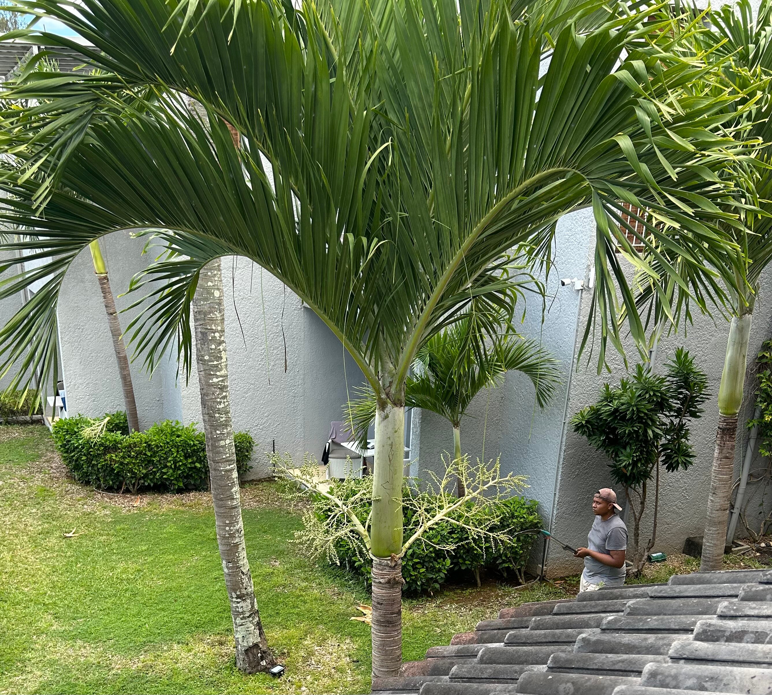 薄优布鲁旅馆-浴室