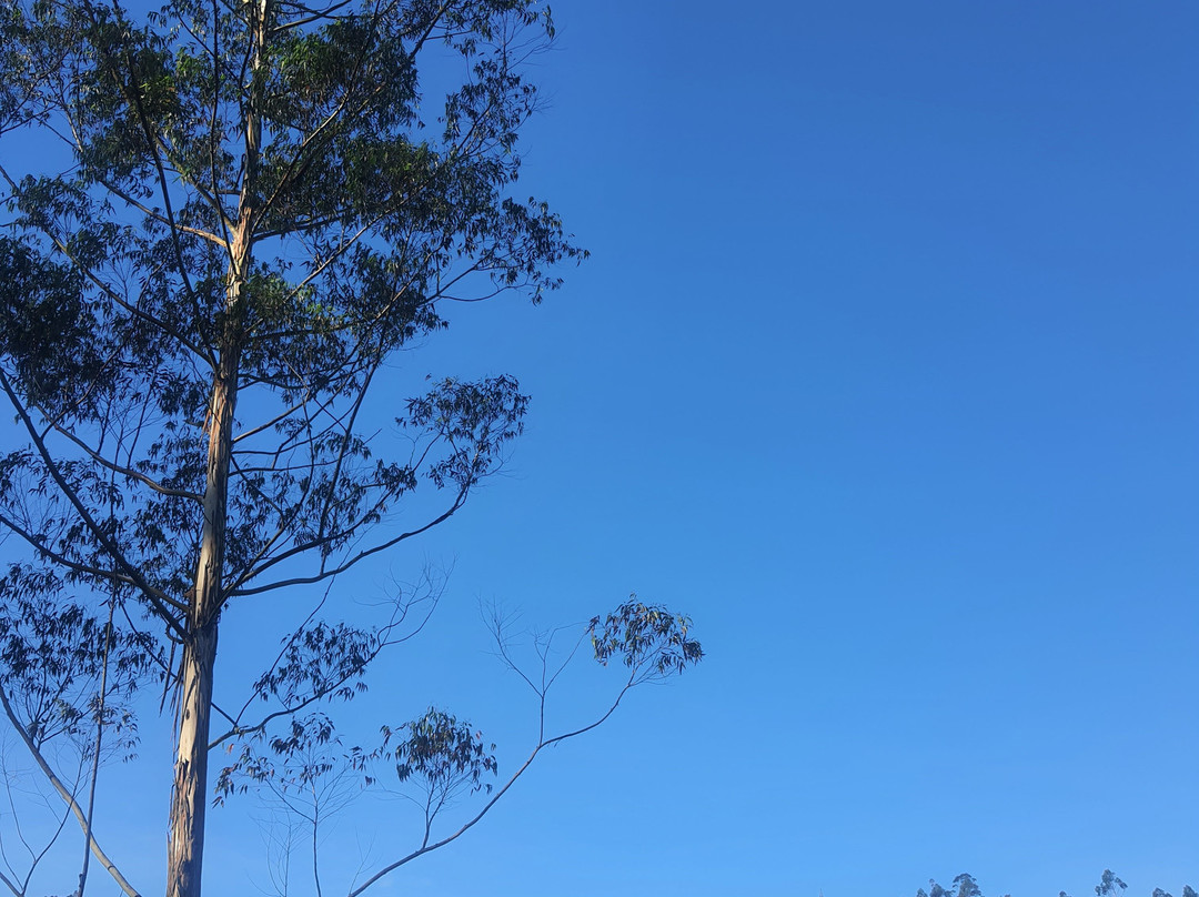 Green Hope Tourism-柯钦必去景点