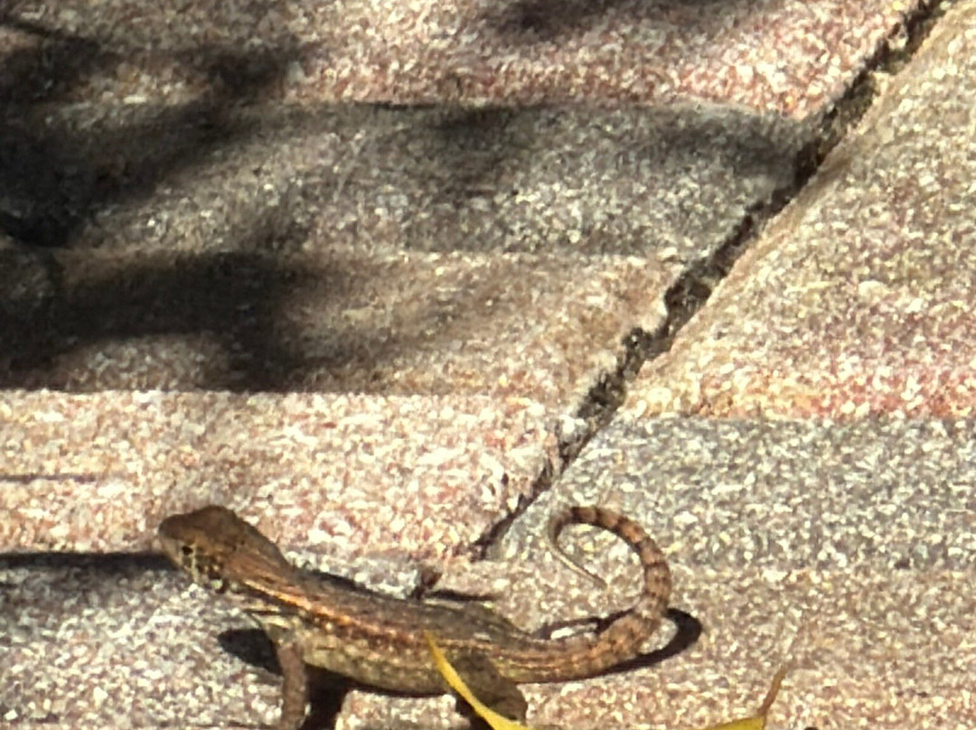 Residence Inn by Marriott Miami Aventura Mall主图